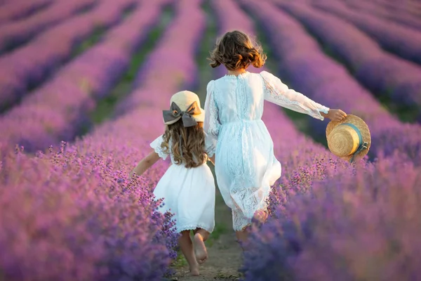 Vacker flicka på ett fält med lavendel. — Stockfoto