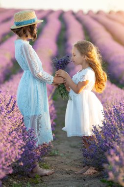 Lavantalı tarlada güzel bir kız.