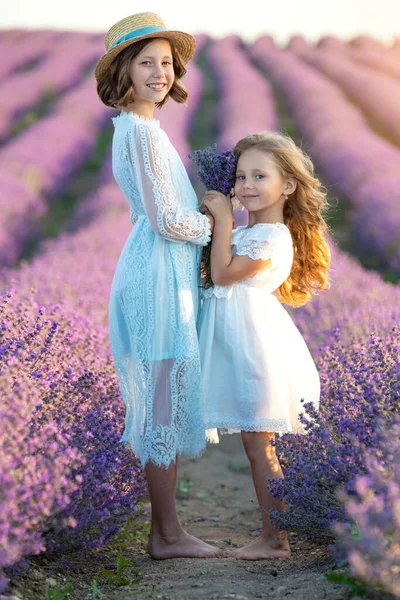 Hermosa chica en un campo con lavanda. — Foto de Stock