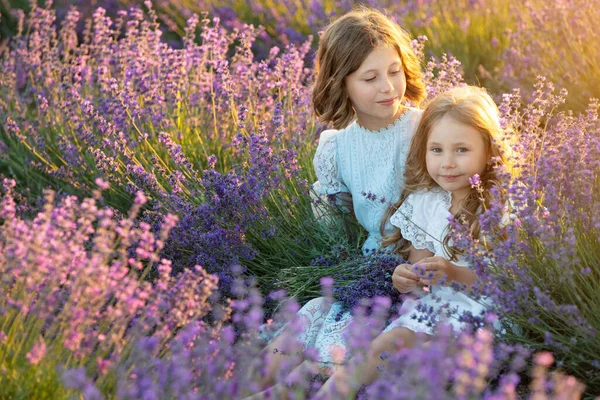 Hermosa chica en un campo con lavanda. — Foto de Stock