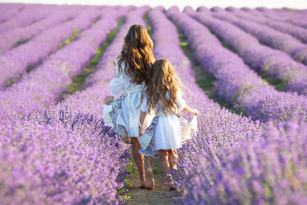 Beautiful girl in a field with lavender. — Stock Photo, Image