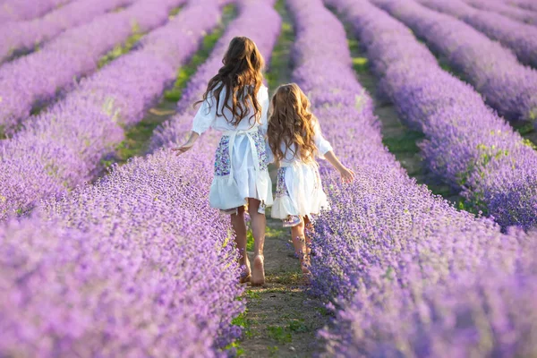 Hermosa chica en un campo con lavanda. — Foto de Stock