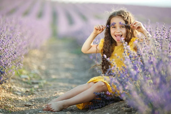 Hermosa chica en un campo con lavanda. —  Fotos de Stock