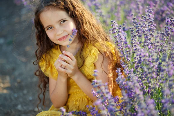 Krásná dívka v poli s levandulí. — Stock fotografie