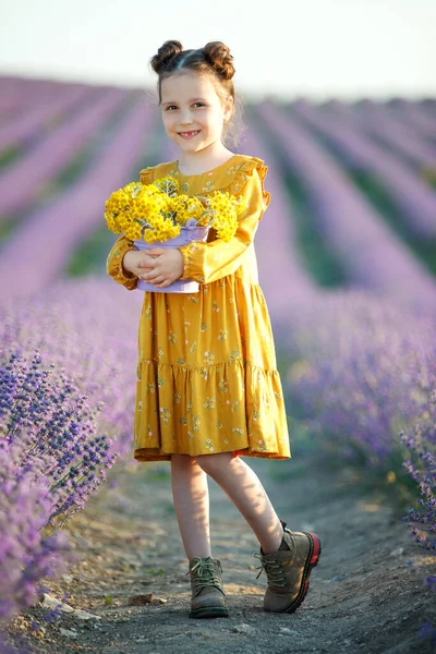 Hermosa chica en un campo con lavanda. —  Fotos de Stock