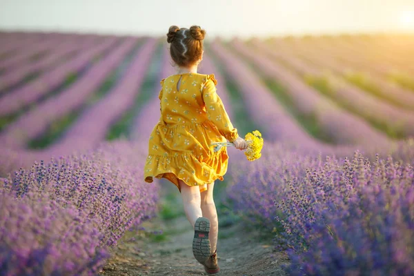 Schöne Mädchen in einem Feld mit Lavendel. — Stockfoto