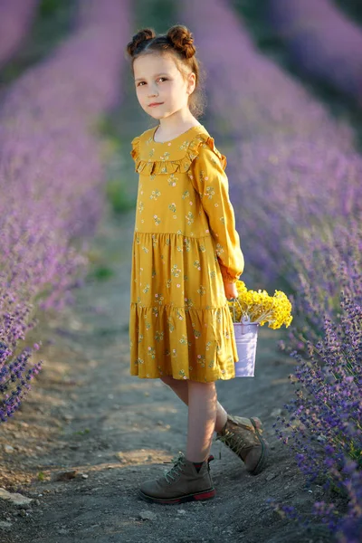 Hermosa chica en un campo con lavanda. —  Fotos de Stock