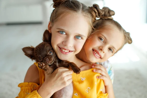 Un niño con un perro. Niñas juegan con un perro en la alfombra en casa . — Foto de Stock