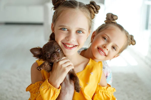 Child with a dog. Little girls play with a dog on the carpet at home. — Stock Photo, Image