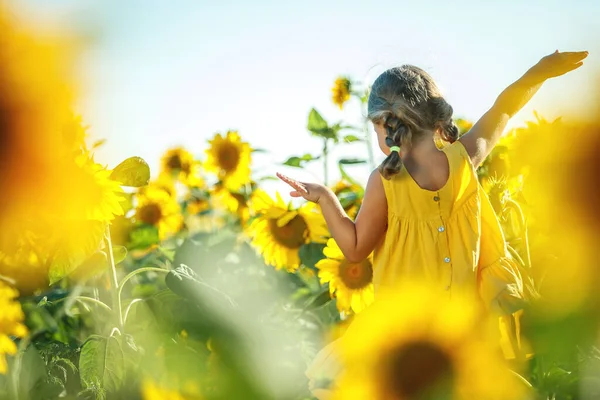 Child in a sunflower field. — Stock Photo, Image