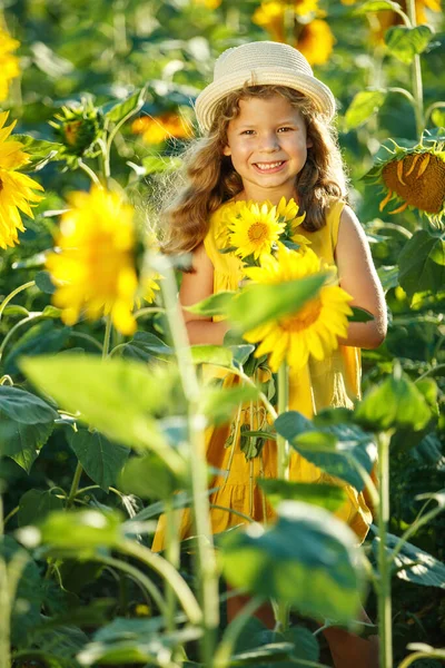 Dziecko na polu słonecznika. — Zdjęcie stockowe