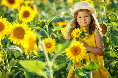 Ayçiçeği tarlasında bir çocuk. 