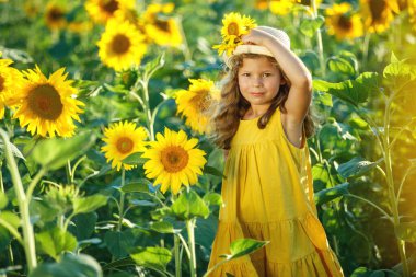 Ayçiçeği tarlasında bir çocuk. 