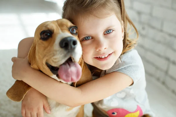 Little girl with a dog at home. — Stock Photo, Image