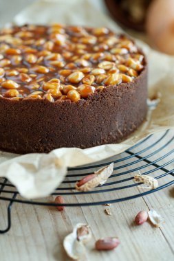 Peynirli kek. Cevizli yumuşak süzme peynirli kek.. 