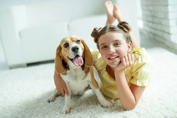 Un niño con un perro. Adolescente chica con un beagle perro en casa. — Foto de Stock