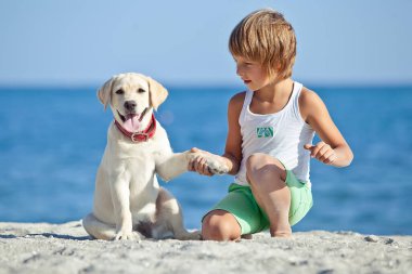 Mutlu çocuk mavi gökyüzüne karşı deniz kıyısında köpeğiyle oynuyor. En iyi arkadaşlar tatilde eğlenir..