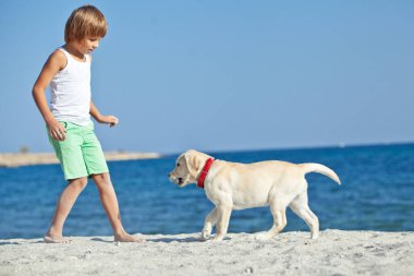 Mutlu çocuk mavi gökyüzüne karşı deniz kıyısında köpeğiyle oynuyor. En iyi arkadaşlar tatilde eğlenir, denize karşı kumsalda oynarlar..