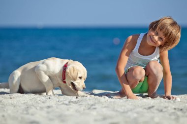Mutlu çocuk mavi gökyüzüne karşı deniz kıyısında köpeğiyle oynuyor. En iyi arkadaşlar tatilde eğlenir, denize karşı kumsalda oynarlar..