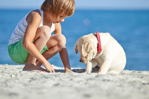 Happy boy playing with his dog on the seashore against the blue sky. Best friends have fun on vacation, play on the sand against the sea. — Stock Photo, Image