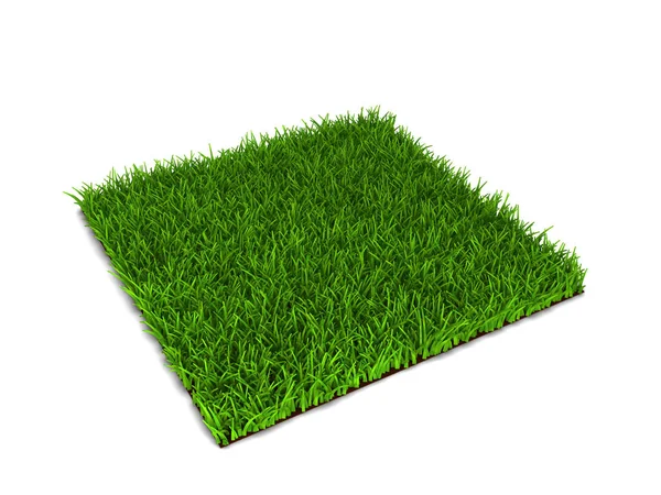 Zielona Trawa Trawnik Ilustracja Białym Tle — Zdjęcie stockowe