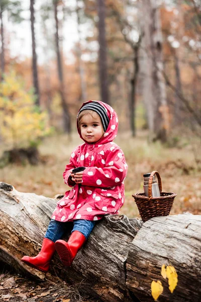 Petite Fille Dans Forêt Automne Avec Panier Buvant Thé Jour — Photo