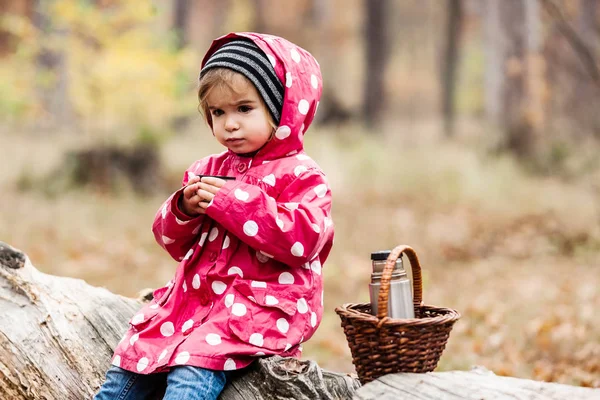 お茶を飲んでバスケット 秋の森の小さな女の子 秋の日 自然探索エンドウ ジャケットの少女 — ストック写真