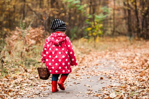 Bambina Nel Bosco Autunnale Con Cesto Alla Ricerca Dei Funghi — Foto Stock