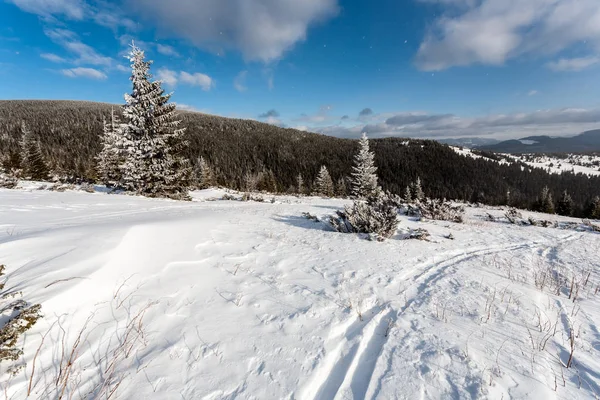 大雪覆盖了群山中的树木 美丽的冬景 冬季森林 — 图库照片