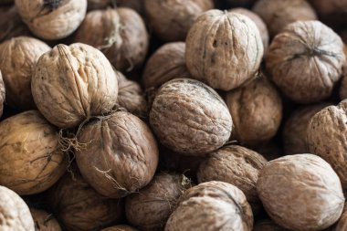 Doğal ceviz arka plan desen doku. Doğal gıda deniz hayvanı kabuğu içinde Fındık ceviz desen zemin.