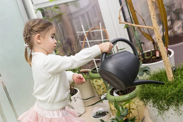 Bonita Menina Regando Plantas Sua Casa Criança Cuidando Das Plantas — Fotografia de Stock