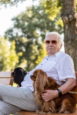 Köpekleri ile oynayan mutlu yaşlı adam.