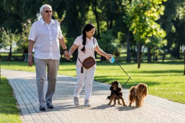 Mutlu yaşlı çift köpekleri ile oynarken.