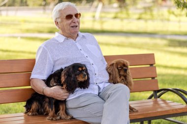 Köpekleri ile oynayan mutlu yaşlı adam.