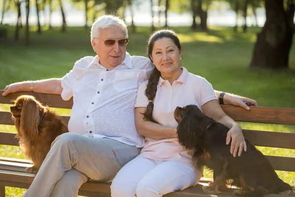 Happy senior couple playing with their dogs. — Stock Photo, Image