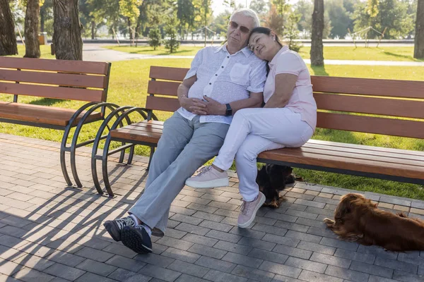 Senior přejeme pohodové v parku. — Stock fotografie