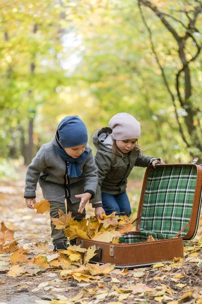 Barn leker med höstfallna löv i skogen med suitca — Stockfoto