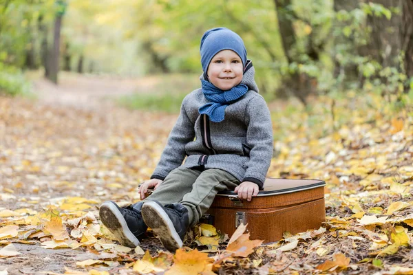 Niño jugando en el bosque de otoño lleno de hojas amarillas —  Fotos de Stock