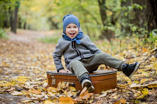 Little boy playing in autumn forest full of yellow leaves — Stock Photo, Image