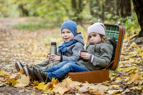 수이 와 함께 노란 나뭇잎으로 가득 찬 가을 숲에서 노는 아이들 — 스톡 사진