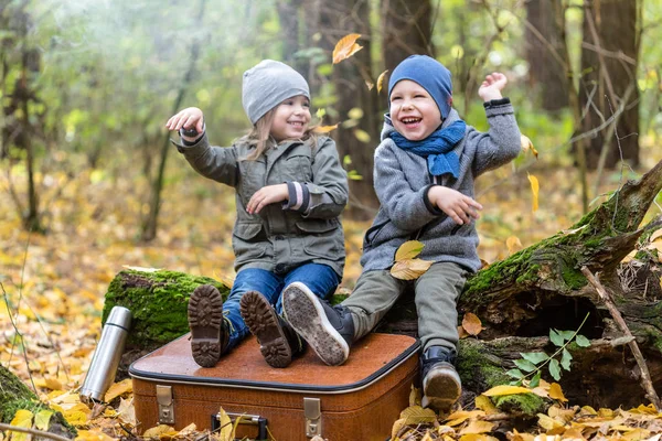 빈 과 함께 노란 나뭇잎으로 가득 찬 가을 숲에서 노는 아이들 — 스톡 사진