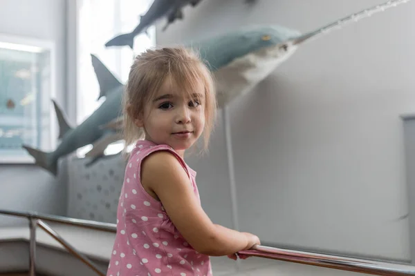 Niña Explorando Museo Paleontología Busca Dinosaurios Concepto Tiempo Educativo —  Fotos de Stock