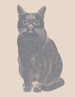 çizilmiş kedi, vektör çizim el.