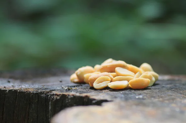 Erdnüsse Wald Thema Natur — Stockfoto