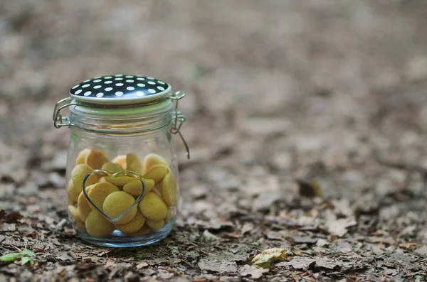 Glas Kekse Der Natur — Stockfoto