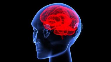 İnsan kafatası siyah arka plan üzerinde döndürme.