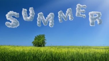 Mavi gökyüzünde yeşil alan üzerinde bulut metni. Güzel kırsal manzara.