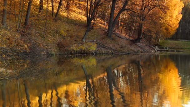 Wieczorem Jesiennym Parku Miejskim Drzewa Odzwierciedlone Stawie Ukraina Kijów Park — Wideo stockowe