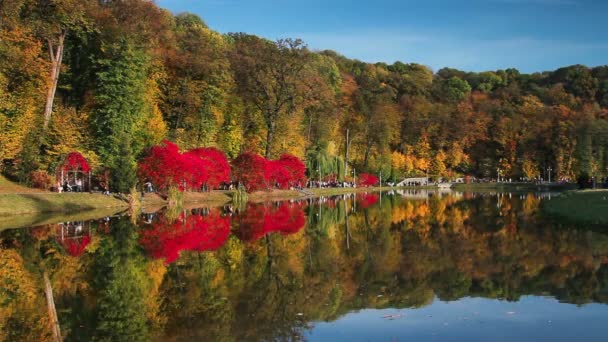 Abend Herbstlichen Stadtpark Bäume Spiegeln Sich Teich Kiew Kiew Feofania — Stockvideo
