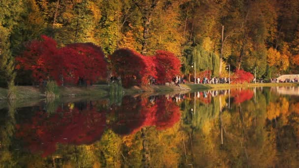 Вечер Осеннем Городском Парке Деревья Отражаются Пруду Украина Киев Парк — стоковое видео
